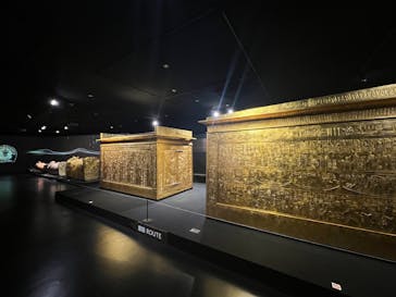 MYSTERY OF TUTANKHAMEN 体感型古代エジプト展に投稿された画像（2025/7/16）