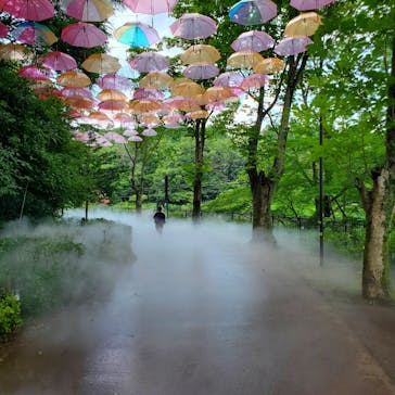 ムーミンバレーパークに投稿された画像（2025/7/16）