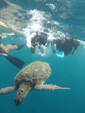 マーレ石垣島に投稿された画像（2025/7/16）