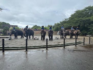 ANIMAL WONDER REZOURT 市原ぞうの国・サユリワールドに投稿された画像（2025/7/16）