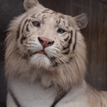 宇都宮動物園に投稿された画像（2025/7/17）