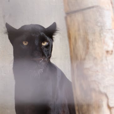 宇都宮動物園に投稿された画像（2025/7/17）