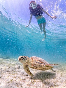 SUNSHINE MARIN 宮古島に投稿された画像（2025/7/17）