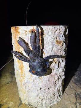 SUNSHINE MARIN 宮古島に投稿された画像（2025/7/17）