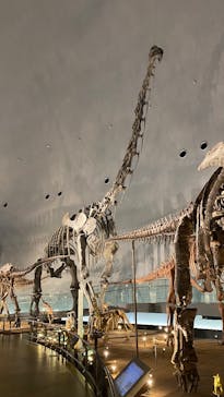 福井県立恐竜博物館に投稿された画像（2025/7/17）