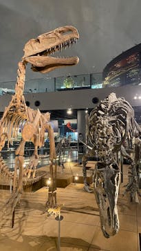 福井県立恐竜博物館に投稿された画像（2025/7/17）