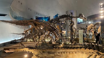 福井県立恐竜博物館に投稿された画像（2025/7/17）