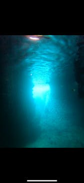 武藤潜水に投稿された画像（2025/7/17）