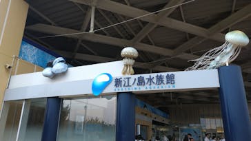 江の島シーキャンドル×新江ノ島水族館に投稿された画像（2025/7/17）
