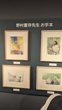 プレバト才能アリ展に投稿された画像（2025/7/17）