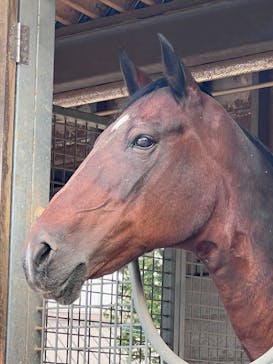 東武動物公園に投稿された画像（2025/7/17）