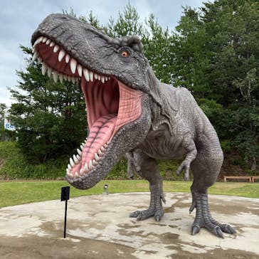 福井県立恐竜博物館に投稿された画像（2025/7/17）