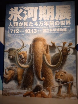 特別展「氷河期展 〜人類が見た4万年前の世界〜」（国立科学博物館）に投稿された画像（2025/7/17）