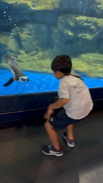 マクセル アクアパーク品川に投稿された画像（2025/7/17）