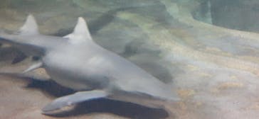 アクアワールド茨城県大洗水族館に投稿された画像（2025/7/17）