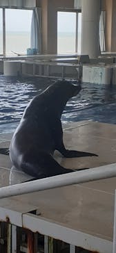 アクアワールド茨城県大洗水族館に投稿された画像（2025/7/17）