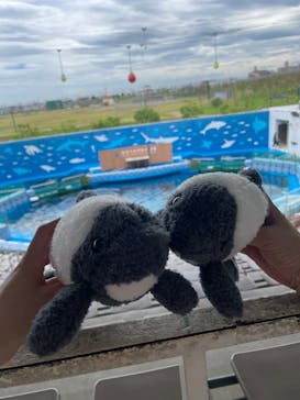 仙台うみの杜水族館に投稿された画像（2025/7/17）