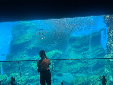 仙台うみの杜水族館に投稿された画像（2025/7/17）