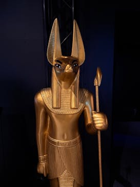 ACN ラムセス大王展 ファラオたちの黄金に投稿された画像（2025/7/17）