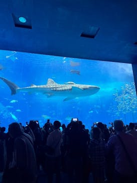 ジャンボツアーズに投稿された画像（2025/7/17）