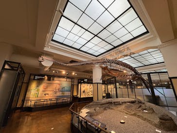 国立科学博物館に投稿された画像（2025/7/17）