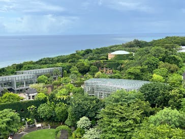 沖縄美ら海水族館に投稿された画像（2025/7/17）
