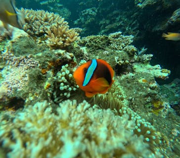 マーレ石垣島に投稿された画像（2025/7/17）