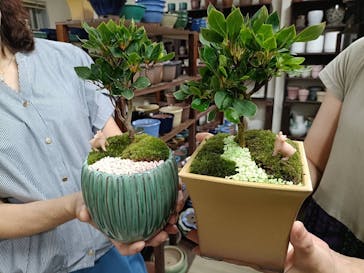 鉢マニアに投稿された画像（2025/7/17）