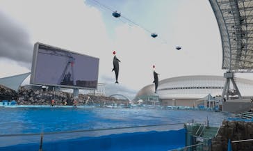 名古屋港水族館に投稿された画像（2025/7/17）