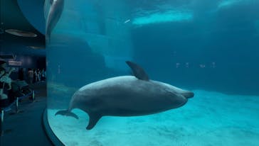 名古屋港水族館に投稿された画像（2025/7/17）