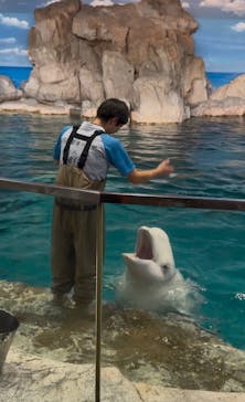 名古屋港水族館に投稿された画像（2025/7/17）