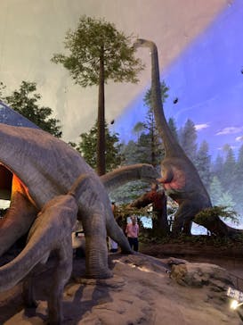 福井県立恐竜博物館に投稿された画像（2025/7/17）