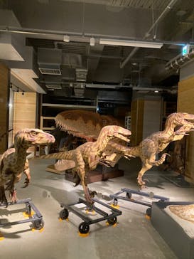 福井県立恐竜博物館に投稿された画像（2025/7/17）