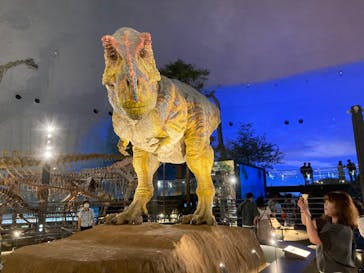 福井県立恐竜博物館に投稿された画像（2025/7/17）