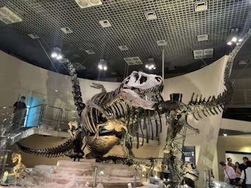 国立科学博物館に投稿された画像（2025/7/17）