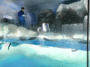 名古屋港水族館に投稿された画像（2025/7/17）