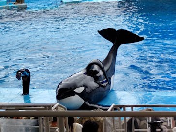 名古屋港水族館に投稿された画像（2025/7/17）