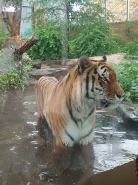 那須どうぶつ王国に投稿された画像（2025/7/17）