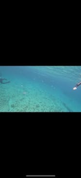 武藤潜水に投稿された画像（2025/7/18）