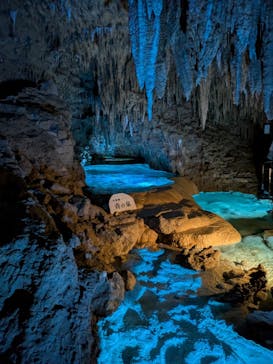 おきなわワールドに投稿された画像（2025/7/18）