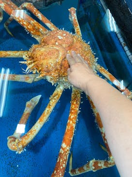 竹島水族館に投稿された画像（2025/7/18）