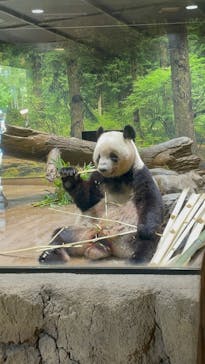 恩賜上野動物園に投稿された画像（2025/7/18）