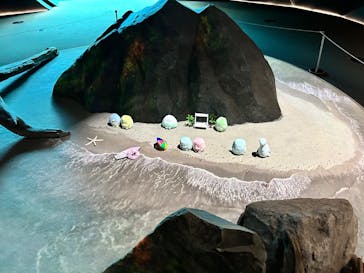 上越市立水族博物館 うみがたりに投稿された画像（2025/7/18）