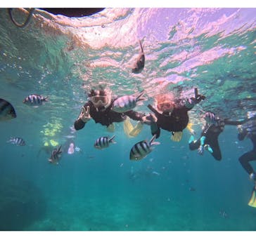 武藤潜水に投稿された画像（2025/7/18）