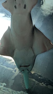 マクセル アクアパーク品川に投稿された画像（2025/7/18）