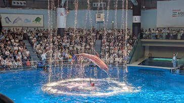 マクセル アクアパーク品川に投稿された画像（2025/7/18）