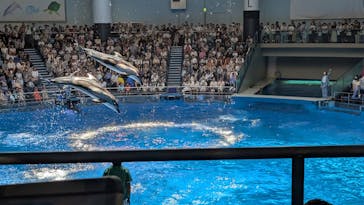 マクセル アクアパーク品川に投稿された画像（2025/7/18）