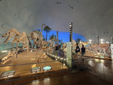福井県立恐竜博物館に投稿された画像（2025/7/18）