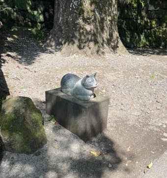 仙巌園に投稿された画像（2025/7/18）