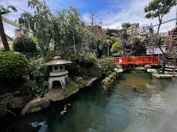 浅草花やしきに投稿された画像（2025/7/18）